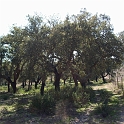 2009_portugal 216